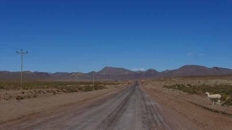 001-laguna-ruta-1